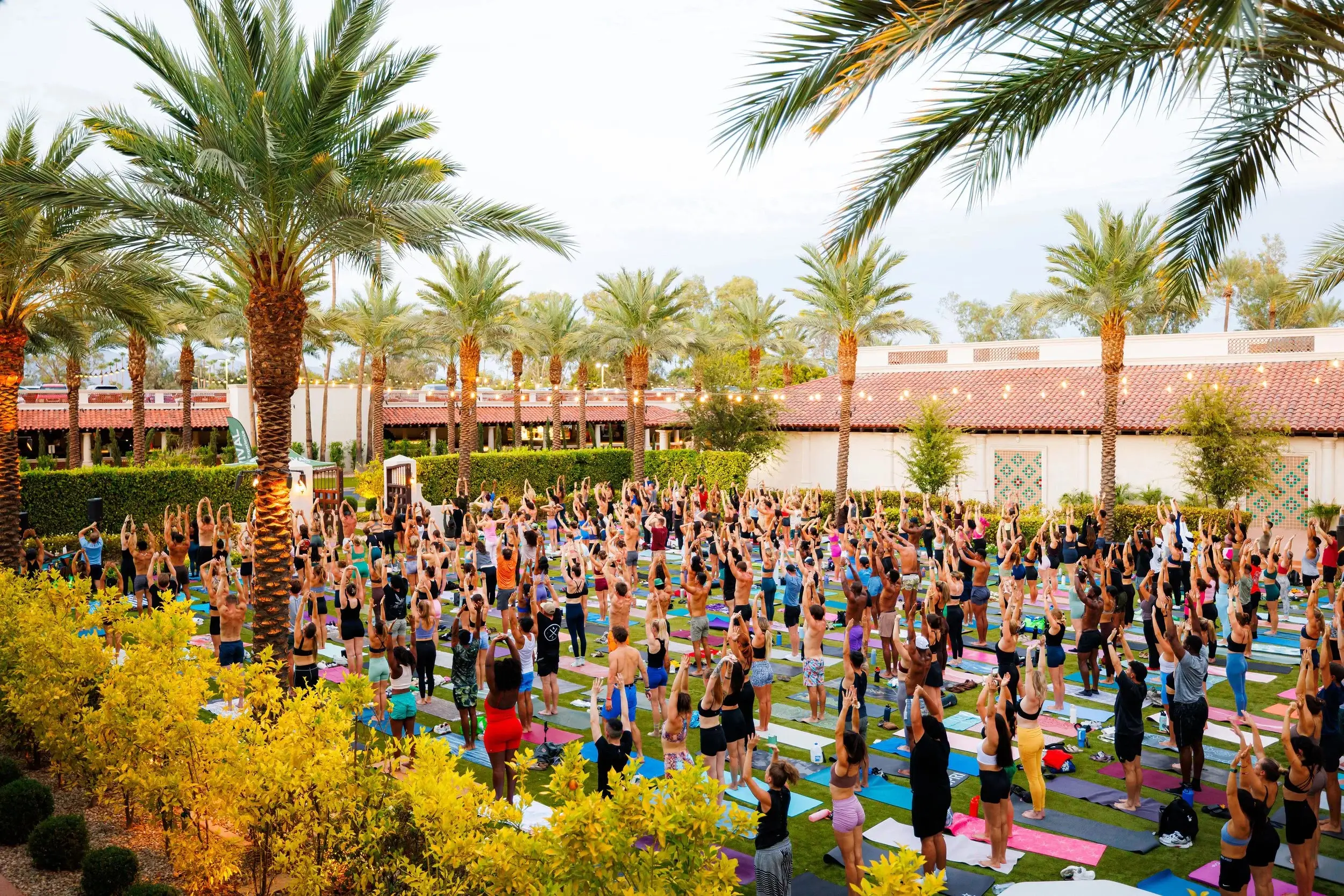 Outdoor recovery and hangout under palm trees after the race